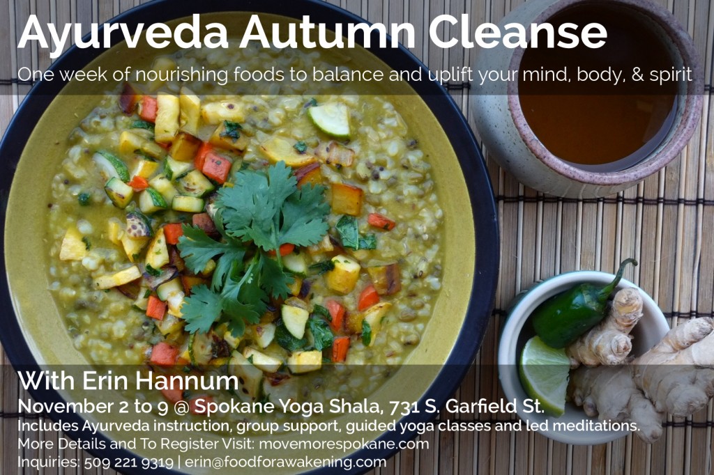 Ayurveda Cleanse Flyer_2014